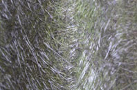 Edgware fibreglass roof work